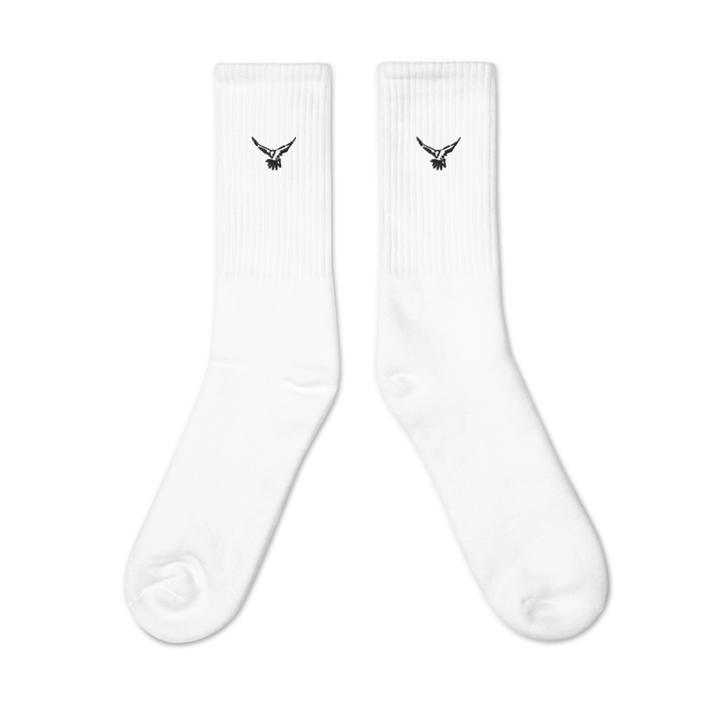 TBC SOX