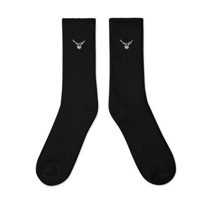 TBC SOX