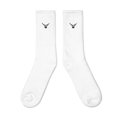 TBC SOX